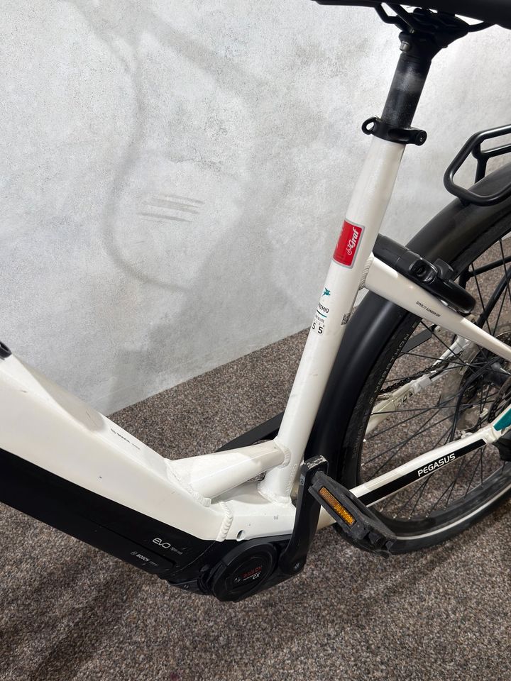 Pegasus Premio EVO 10 Lite gebraucht – Foto 9