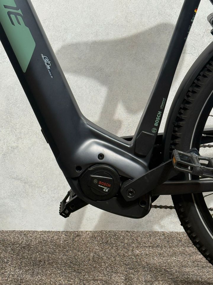 Cone Trail E-SUV 3.0 gebraucht – Foto 5