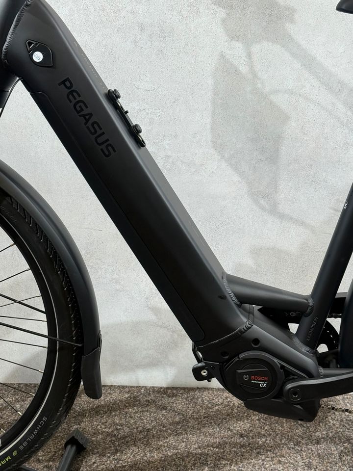 Pegasus Premio EVO 10 Lite neu – Foto 5