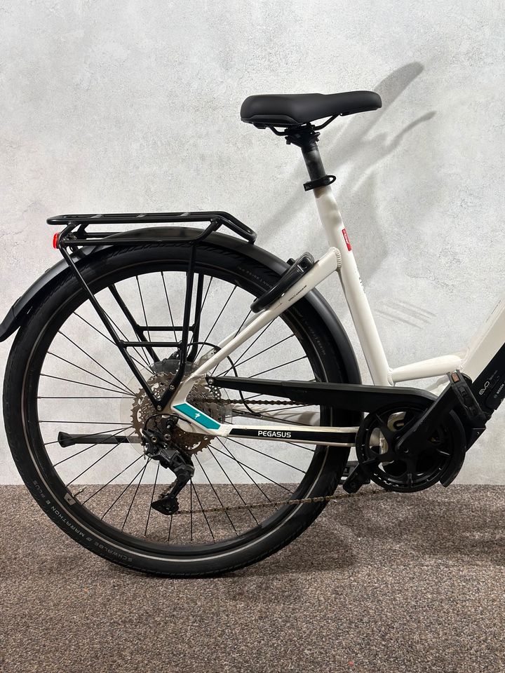 Pegasus Premio EVO 10 Lite gebraucht – Foto 12