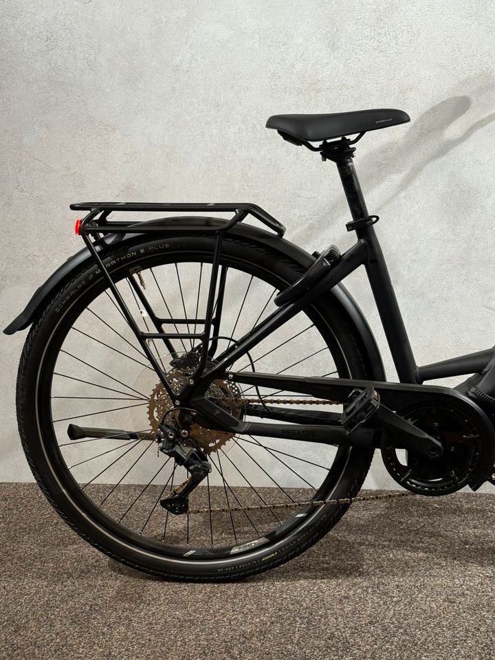 Pegasus Premio EVO 10 Lite neu – Foto 10