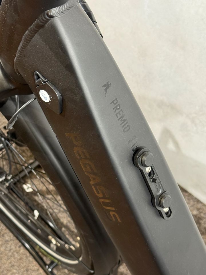 Pegasus Premio EVO 10 Lite neu – Foto 6