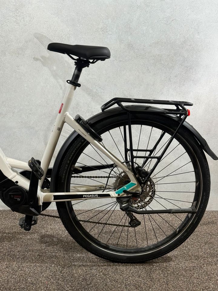 Pegasus Premio EVO 10 Lite gebraucht – Foto 4