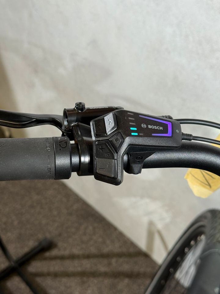 Pegasus Premio EVO 10 Lite neu – Foto 7