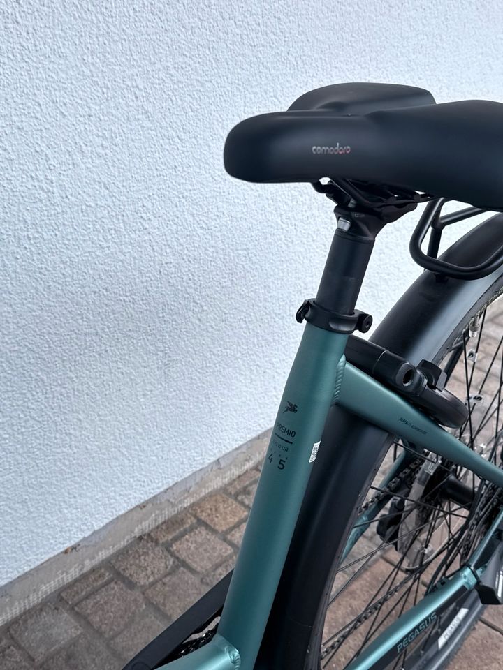 Pegasus Premio Evo 5R neu – Foto 9