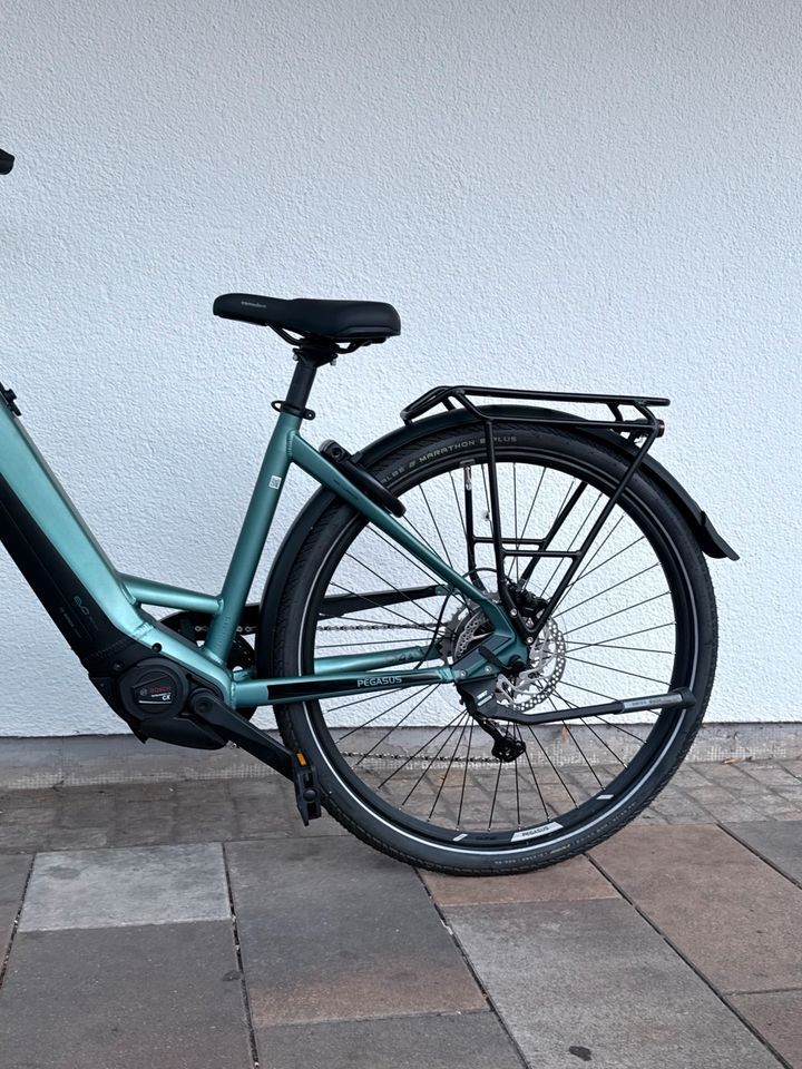 Pegasus Premio Evo 5R neu – Foto 4